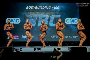 BODYBUILDING +100